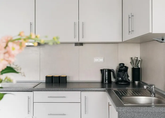 Brzozova Apartments Zakopane - Loftaffair